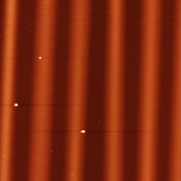 AFM artifact due to laser interference